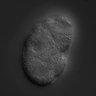 Thumbnail for dataset RNAi_T10F2.1_070130_03