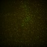 Thumbnail for dataset Fig6_Whole_brain_imaging50_20180328_140252