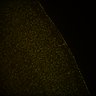 Thumbnail for dataset Fig6_Whole_brain_imaging95_20180328_171205