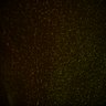 Thumbnail for Fig6_Whole_brain_imaging97_20180328_172039