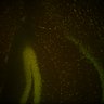 Thumbnail for dataset Fig6_Whole_brain_imaging101_20180328_173746