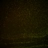 Thumbnail for dataset Fig6_Whole_brain_imaging102_20180328_174159