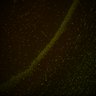 Thumbnail for Fig6_Whole_brain_imaging104_20180328_175030