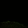 Thumbnail for dataset Fig6_Whole_brain_imaging156_20180328_213134