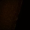 Thumbnail for dataset Fig6_Whole_brain_imaging169_20180328_222746