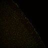 Thumbnail for dataset Fig6_Whole_brain_imaging204_20180329_10141