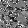 Thumbnail for dataset Fig6a_z-stack_sample1