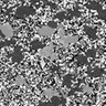 Thumbnail for dataset Fig6b_z-stack_sample2