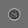 Thumbnail for dataset 3mix-timelapse-plate2_86