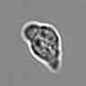 Thumbnail for dataset 3mix-timelapse-plate3_28
