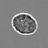 Thumbnail for dataset 3mix-timelapse-plate3_36