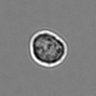 Thumbnail for dataset 3mix-timelapse-plate3_45