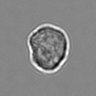Thumbnail for dataset 3mix-timelapse-plate3_72