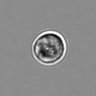 Thumbnail for dataset 3mix-timelapse-plate3_84