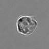 Thumbnail for dataset 3mix-timelapse-plate4_90