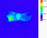 Thumbnail for dataset fig10a-2
