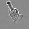 Thumbnail for dataset 3mix-timelapse-plate5_67