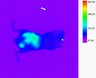 Thumbnail for dataset fig10b-5