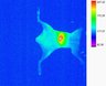 Thumbnail for dataset fig5a-2