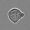 Thumbnail for dataset 3mix-timelapse-plate7_4