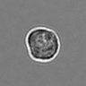 Thumbnail for 3mix-timelapse-plate7_27