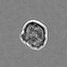 Thumbnail for dataset 3mix-timelapse-plate7_32