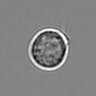 Thumbnail for dataset 3mix-timelapse-plate7_35