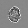 Thumbnail for dataset 3mix-timelapse-plate7_61