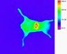 Thumbnail for dataset figs9-m1-2