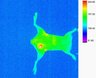 Thumbnail for dataset figs9-m1-3