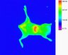 Thumbnail for dataset figs9-m2-2