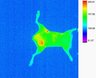 Thumbnail for dataset figs9-m2-3