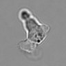 Thumbnail for dataset 3mix-timelapse-plate8_36