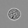 Thumbnail for 3mix-timelapse-plate8_85