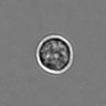 Thumbnail for dataset 3mix-timelapse-plate8_91