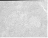 Thumbnail for dataset fig8C_cryosection_double