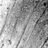 Thumbnail for dataset fig11C_normal_2