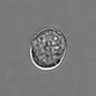 Thumbnail for dataset 3mix-timelapse-plate9_84