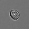 Thumbnail for dataset 3mix-timelapse-plate9_90