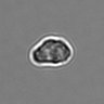Thumbnail for dataset 3mix-timelapse-plate10_35