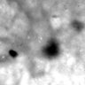 Thumbnail for dataset fig11C_NPC_3