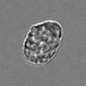 Thumbnail for dataset 3mix-timelapse-plate10_51