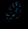 Thumbnail for dataset Fig1F