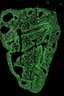 Thumbnail for dataset Fig2B