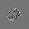 Thumbnail for dataset 3mix-timelapse-plate11_86