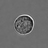 Thumbnail for dataset 3mix-timelapse-plate12_66