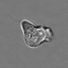 Thumbnail for dataset 3mix-timelapse-plate13_15