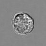 Thumbnail for 3mix-timelapse-plate13_26