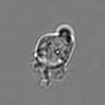 Thumbnail for dataset 3mix-timelapse-plate13_27
