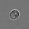 Thumbnail for dataset 3mix-timelapse-plate13_41